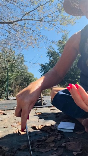 There are no words for how happy this makes me! Hands in the dirt, sunshine and dreaming of spring flowers🌸💕Today I started direct sowing cool season hardy annuals. A tiny check mark off a very long fall list!✔️🌱🌱🌱 | Flower Chick Farm