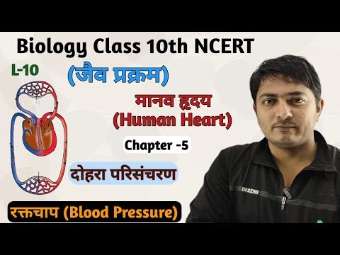L-10 ,मानव हृदय (Human Heart)|| जैव प्रक्रम || Class 10th Biology || दोहरा परिसंचरण || Chapter - 5