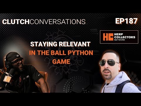EP187 – Staying Relevant in the Ball Python Game