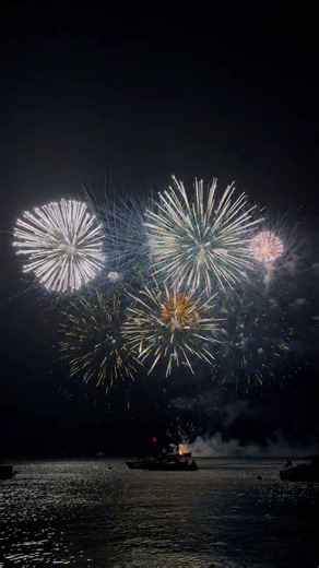 This fireworks display is absolutely insane #fireworks #amazing #spectacle