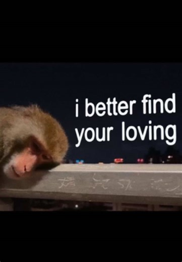 Find Your Love by Drake - Lyrics Edit