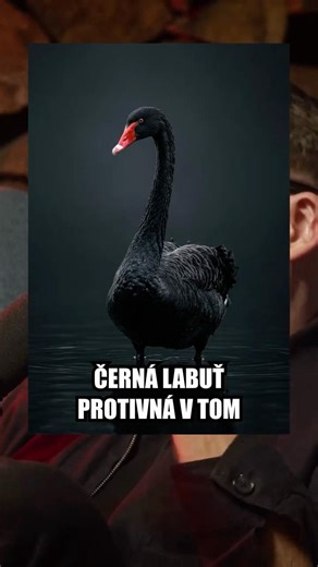 🤔 SPADNE V ROCE 2026 NEMOVITOSTNÍ TRH? | Zbyšek Faja v BROCAST