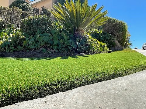 The Turf Edge Installation