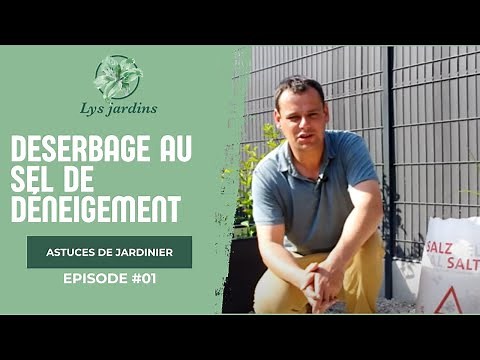 Le désherbage au sel de déneigement