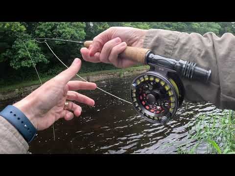 I Hooked a Good Salmon on a 9ft 4wt Fishing for Trout.....