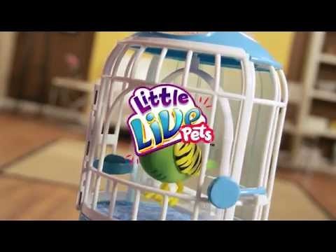 Little Live Pets Bird TV Commercial