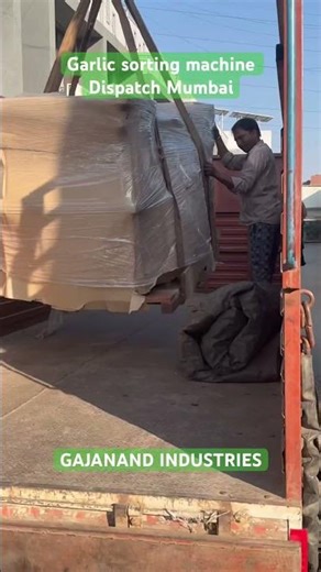 Garlic sorting machine | color sorter | sorting machine | gajanand industries