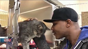 Portland cat rapper releases video urging cat adoption
