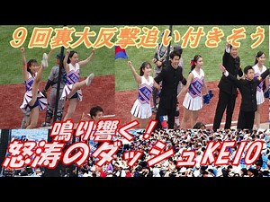 【②慶應義塾大学応援団チアリーダー】最終回の追い上げ凄い！ダッシュKEIO鳴り響く 東京六大学野球春季リーグ対明大２回戦2024.5.19（日）神宮球場