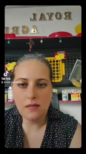 Royal Agri Animal Feed Store supplies quality animal feeds and trusted veterinary products to support healthy and productive livestock. Doraject for Cattle is an effective injectable medication for controlling internal and external parasites such as worms, ticks, lice, and mites, helping improve cattle health and performance. 📍 Location: 42 Burg Road, Port Shepstone 📞 Contact: 078 634 2513 Royal Agri Animal Feed Store – Supporting healthy livestock and successful farming.