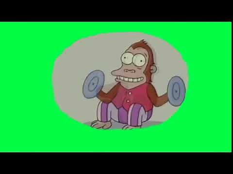 Monkey Clapping Meme Green Screen 1440p [HIGH QUALITY]