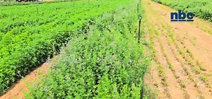 23K views · 227 reactions | Agriculture continues to be one of...