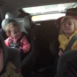 none of us will ever reach this level of lowkey/no pressure. 📹: instagr.am/larkinandpippa | Paramore