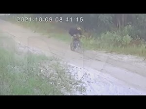 Florida homeowner believes they spotted Brian Laundrie