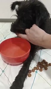 10K views · 1.2K reactions | Sindy (atualização) A Sindy teve...