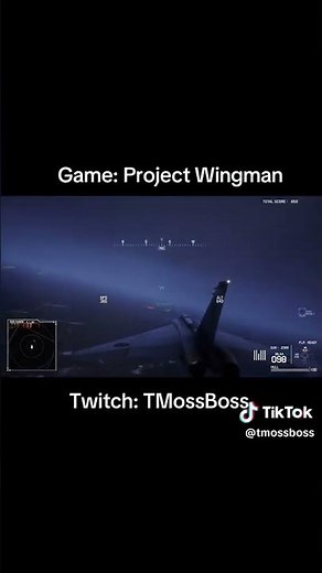 PROJECT WINGMAN PC GAMEPLAY!!