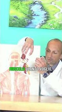 Neck Pain Treatment: First You Need to Understand the Cause