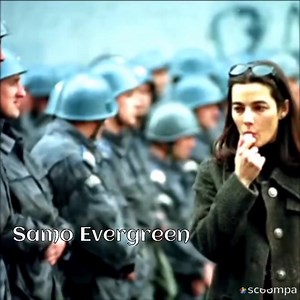 "Samo da rata ne bude" | Samo Evergreen