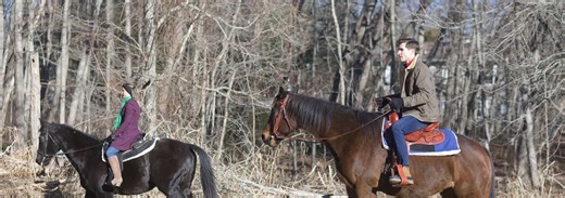 Christmas at Fields Ranch (2025)