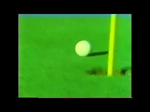 sybervision golf no6 chip shot【VHS】