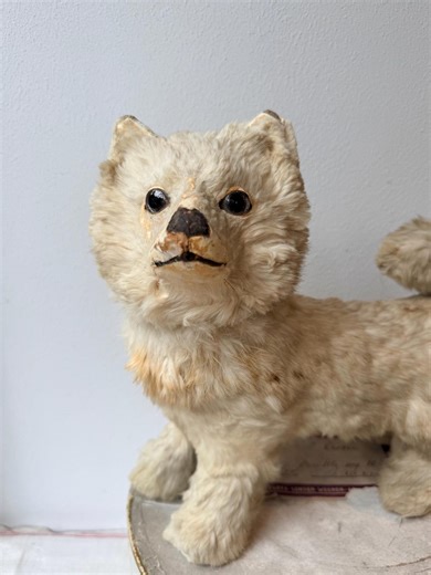 RARE Antique French Paper Mache Dog Candy Container Glass Eyes From 1900’s - Etsy