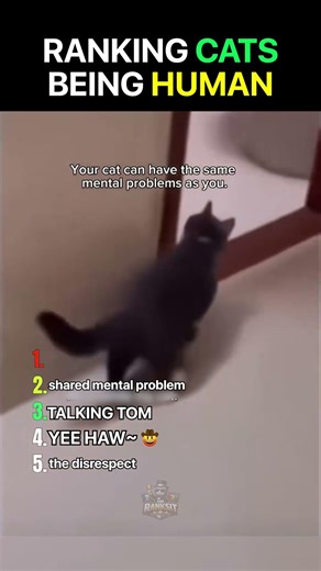 Ranking Cats on Their Human Personality Disorder