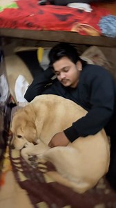 1.3M views · 176K reactions | Ya KuttaGents Hai #new #trending #trendingreels #trend #viral #viralvideos #viralreels #reels #reelsinstagram #reelsvideo #comedy #funny #meme #memes #funnymemes #explore #explorepage #exploremore #fyp #foryou #foryoupage | Akash Hari | Facebook