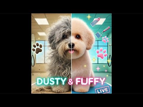 From Dusty to Fluffy🐩✨ Watch Our Maltipoo Transformation #live #dog #grooming #maltipoo
