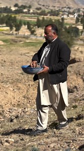 886K views · 42K reactions | په مومندو کې یوشمېر فعالان له کلونو راهیسې په غونډیو، غرونو او شاړو کې د بېلابېلو ونو او بوټو تخمونه شیندي. دوی وايي، دا خیریه کار د اب و هوا بدلون د اثراتو کمولو لپاره کوي. نور د شاهنواز ترکزي په لنډ ویډیويي راپور کې. | Mashaal Radio | Facebook