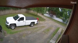 Boo! This bear gave Robert Madore a little scare last Friday in Granby! We think Yogi was just looking for his pic-a-nic basket. 🐻🥪 | FOX61