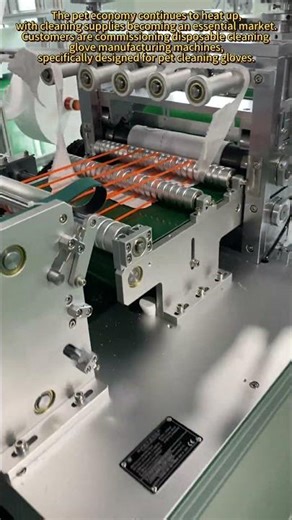 See How Disposable Pet Cleaning Gloves Are Made | Fully Automatic Production Line