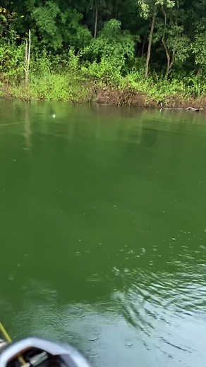 เหยื่อดีมีชัยCome Back Fishlure | Back Gopro