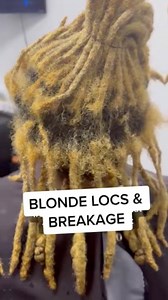 153K views · 1.2K reactions | So many people make the mistake of thinking just once or just a little won’t do any damage!  Listen, we won’t tell you not to, but just be very careful of how you do it. It’s very easy to damage your locs with bleach  And if you really want to change your locs color consider using natural alternatives like henna, or just wait for the sun to naturally do it  | FreeTheRoots | Facebook