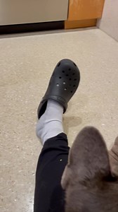 20 reactions · 6 comments |  Milo the Meatball and Dashing Lucky...