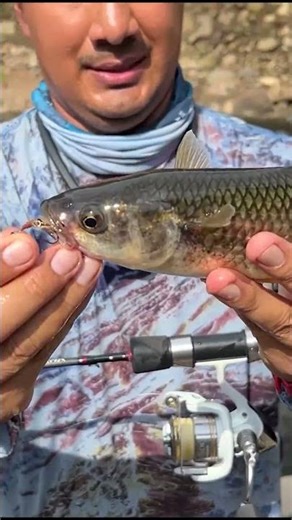 #ExtremeFishing #river #wildfishing #sportfishing #fish #fishing