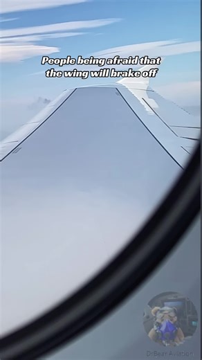 Understanding Wing Flexibility in Aviation