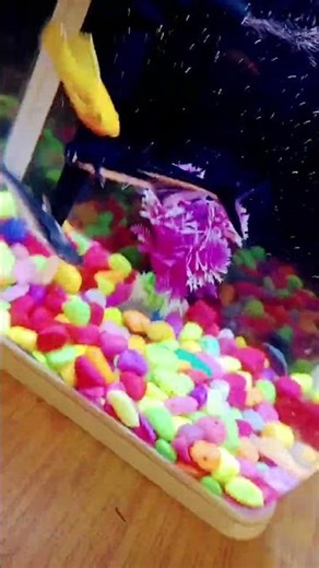 I Can Change Fish tank water $ Plant 💖💖🥳🥳