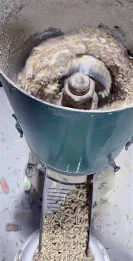 29K views · 248 reactions | Achieve uniform pellets and stable performance with our animal feed pellet mill today! Whatsapp: wa.me/+8615866689729 #pelletmillforfeed #animalfeedpelletpress #machinetomakechickenfeed #pelletmachineforfeed #feedpelletmills #videoblogging | Pellet Machine Manufacturer | Facebook