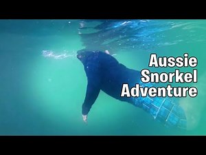 Two friends from Australia went snorkeling around Nha Trang Island