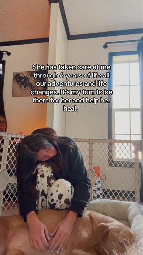 Support Your Dog Through Tough Times