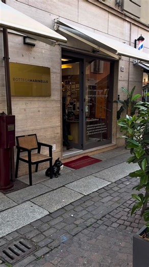 Per realizzare la vostra cintura su misura, contattateci via WhatsApp o prenotate appuntamento in bottega al 3341135536 💬 | Bottega Marinello