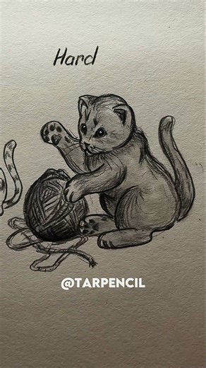 How to draw Playing Cat ✏️ #drawing #art #tutorial #howtodraw #shorts #cat