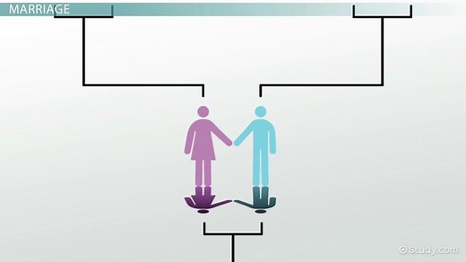 Mate Choice, Courtship, Marriage & Childbearing