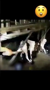 CREEPY Black Creature ATTACKS Goat?! #Cryptids #realmonsters #Cryptid #Varbage #chupacabra