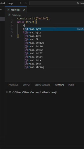 Developing applications using a programming language I developed myself. #programming #shorts