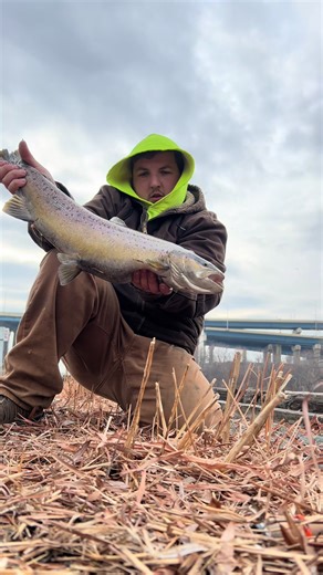 Max Ammo: Centerpin Fishing for Brown Trout