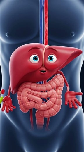 Liver Speaks: How It Keeps You Healthy