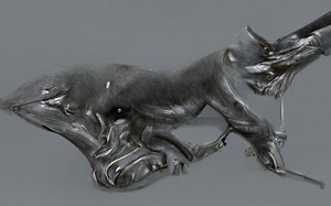 Which bacteria causes scombroid fish poisoning? [2025] | QAQooking.wiki