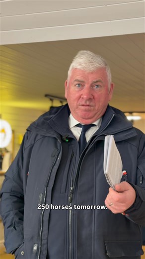 Supreme Pony Sale Wrap Up with Ed Donohoe, and notice to our vendors and buyers that we will be starting the performance at 9am and auction at 10am with 250 horses on offer tomorrow. Our December Sale continues this tomorrow with Sporthorses and Saturday with the Mare, Foal and Yearlings. 📆 December 4th - 6th ⏰ Dec 5th: Performance 9am | Auction 10am ⏰ Dec 6th: Auction 10am 📍Goresbridge Horse Sales Complex View the catalogues and online galleries here, https://goresbridge.com/sporthorse/ #gore