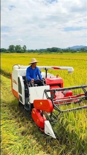 Modern Rice Harvesting with Advanced Combine Harvester 🌾🚜